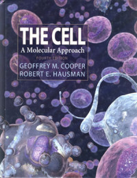 The Cell: A molecular approach