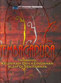 Tembagapura: Tambang, Keunikan dan Keindahan Alam disekitarnya