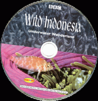 Wild Indonesia, Episode Dua: Underwater Wonderland