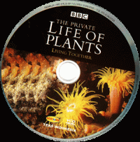 The Private Life of Plants, Episode Lima: Living Together