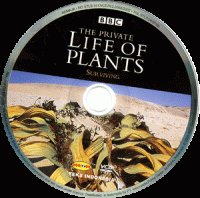The Private Life of Plants, Episode Enam: Surviving