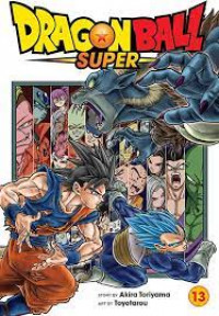 Dragon ball super 13