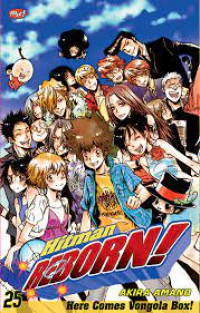 Hitman reborn! Vol. 25